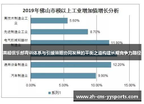英超俱乐部青训体系与引援策略协同发展的平衡之道构建长期竞争力路径